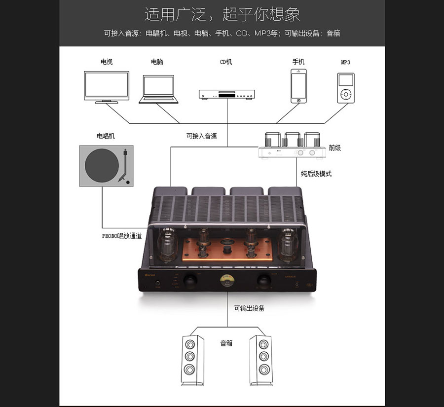 黑眼睛廣告為膽藝高音響器材有限公司官網(wǎng)設(shè)計(jì)的產(chǎn)品詳情頁(yè)